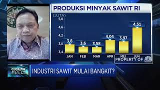 Tren Permintaan Meningkat, GAPKI Optimistis Industri Sawit Mulai Bangkit