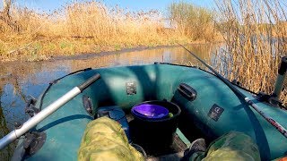 Сказочная Рыбалка на Деликатную Поплавочную Оснастку с лодки в камыше!