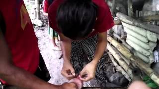 CASTRATION