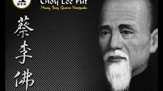 Choy Li Fut  - Yoga in motion (with Matt Emig)