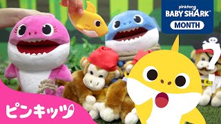 ママザメとパパザメはどこ？ | ベイビーシャークとかくれんぼ | Shark Month????スペシャル | サメのかぞく | パパザメどこかな？、ねんどサメのかぞく 他 | ピンキッツ・ベイビーシャーク