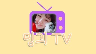 밍긔 TV를 소개합니다! - 밍긔 TV 유튜브 채널 소개