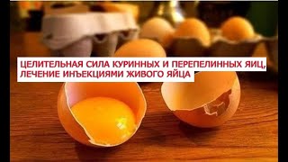 Целительная сила куринных и перепелинных яиц, лечение инъекциями живого яйца