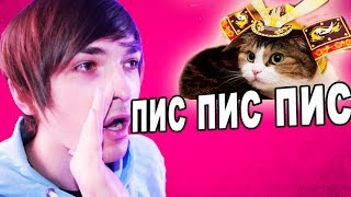 КАК ПОДЗЫВАЮТ КОТОВ НА ДРУГИХ ЯЗЫКАХ! ПЫСЬ-ПЫСЬ!