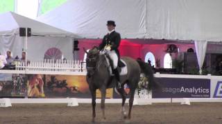 Tinne Vilhelmson-Silfven rides Favourit to 3rd Place at WC Sunshine Challenge