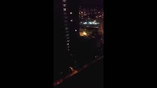 СОБАКА И МАГИЯ