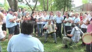 Senhora Cegonha - Cavaquinhos de Vila Meã