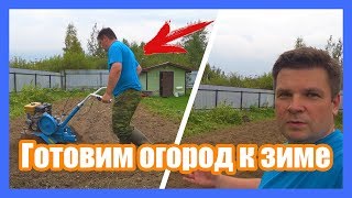 Готовим огород к зиме. Пашем культивируем участок своими руками. Сажаем сидераты. Нева МБ-2