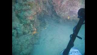 Diving in Monte-negro