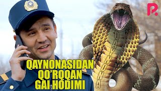 Akula - Qaynonasidan qo'rqqan GAI hodimi | Акула - Кайнонасидан курккан ГАИ ходими
