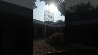 murai batu ngukluk #kicaumania #burung #birds #murai