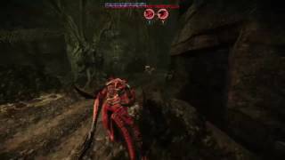 evolve clownfish skin wraith