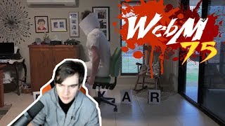 БРАТИШКИН И ТЕНДЕРЛИ СМОТРЯТ - Dank WebM Compilation #75
