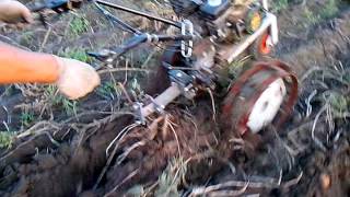 Уборка картофеля мотоблоком Zirka 3060B /Harvesting potatoes motor-block