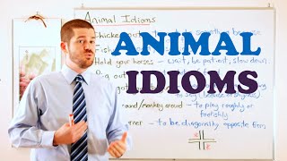 Idiom Series - Animal Idioms