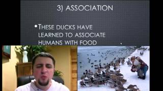Animal Behavior - Learned Behaviors