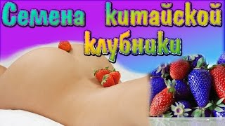 СЕМЕНА КИТАЙСКОЙ СОЧНОЙ РАЗНОЦВЕТНОЙ КЛУБНИКИ!!! 10 сортов!  Стразы - 1440 штук! Удлинитель 3,5 мм.
