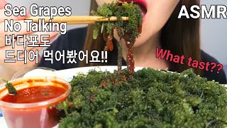 "ASMR" SEA GRAPES EATING SOUNDS, 바다포도 먹방, NO TALKING, MUKBANG, 노토킹, 리얼사운드