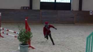 Костюмированный конкур 21.12.13. КСК "Отрада"