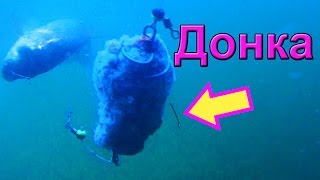 Ловил на донку. Подводная съемка, рыбалка. Ловля карася. Fishing. донка- пружина с двумя крючками
