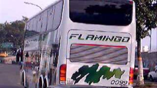 Venebuses.com