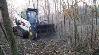 forestry cutter bobcat