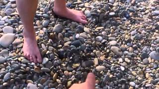 Мужик ест живую медузу на спор   Guy eats a live jellyfish in the dispute