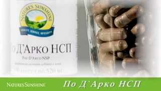 КУПИТЬ Под Арка -природный антибиотик. Консультация нутрициолога, тренер по питанию, wellness коуч.