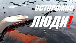 ЗИМНЕЕ ПЛАВАНИЕ ☠ Осторожно, Люди!