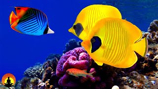 ? Relaxing Sleep Music 24/7, Insomnia, Deep Sleep Music,  Sleep Meditation, Yoga, Study, Sleep, Spa