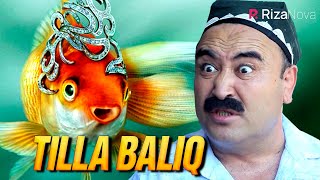 Qalpoq - Tilla baliq