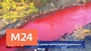 "Кровавый" дождь напугал жителей Норильска - Москва 24