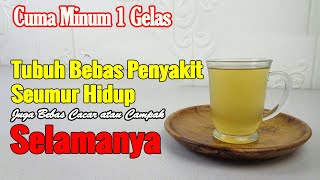 CUMA MINUM INI, TUBUH SEHAT DAN BERSTAMINA SELAMANYA, ANDA WAJIB COBA