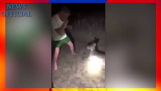 man repeatedly punches a helpless kangaroo with a broken back as his mate laughs in the background