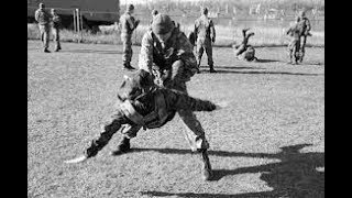 тренировка русского спецназа (Russian spetsnaz training)