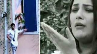 Sana paras and mahira traingle love whtasapp status