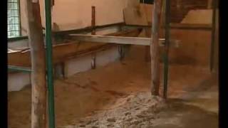 adapostul tei boboc