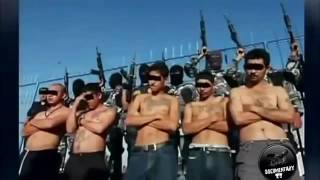 Банда Mara Salvatrucha (Ms 13) |Документальный фильм|