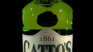 Catto's