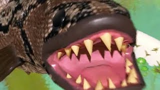 Monster Snake Fish! - Feed and Grow Fish - Part 59 | Pungence