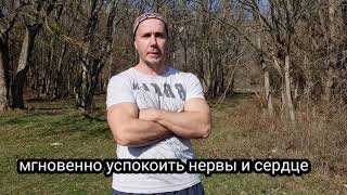 МГНОВЕННО УСПОКОИТЬ НЕРВЫ И СЕРДЦЕ!! Японский метод