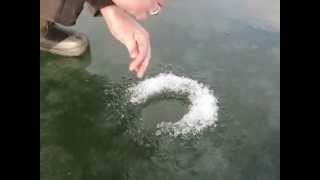 Ловля окуня на Краснооскольском водохранилище в Яцком