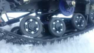 Dingo T125