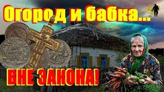 #Вне закона! Бабку и её огород надо спасать...