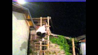 梯子のり〈三島若鳶会〉