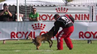 French Championship Ring 2017 Calais   Attaques  Attacks  17-06-2017