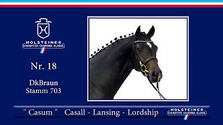 Holsteiner Körlot 2018 | Nr. 18 - CASUM v. Casall - Lansing