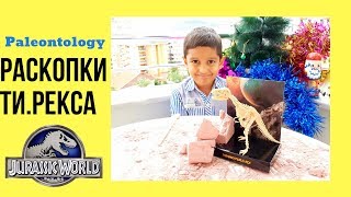 Раскопки динозавра набор. Ищем динозавра|РАСПАКОВКА|Обзор игрушки|Set for dinosaur excavation kit