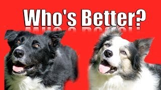 Who's the Best?