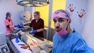 ОПЕРАЦИЯ! Не для слабонервных / влог: стерилизация собаки ветеринарная клиника Доверие Харьков